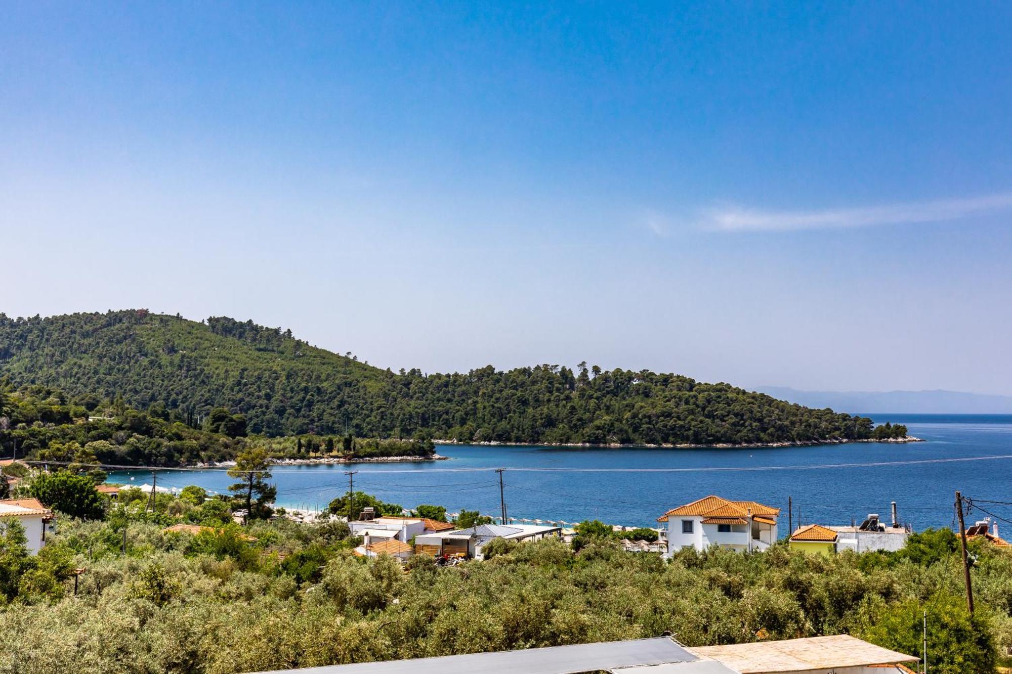 Panormos Beach Hotel Skopelos Rum bild