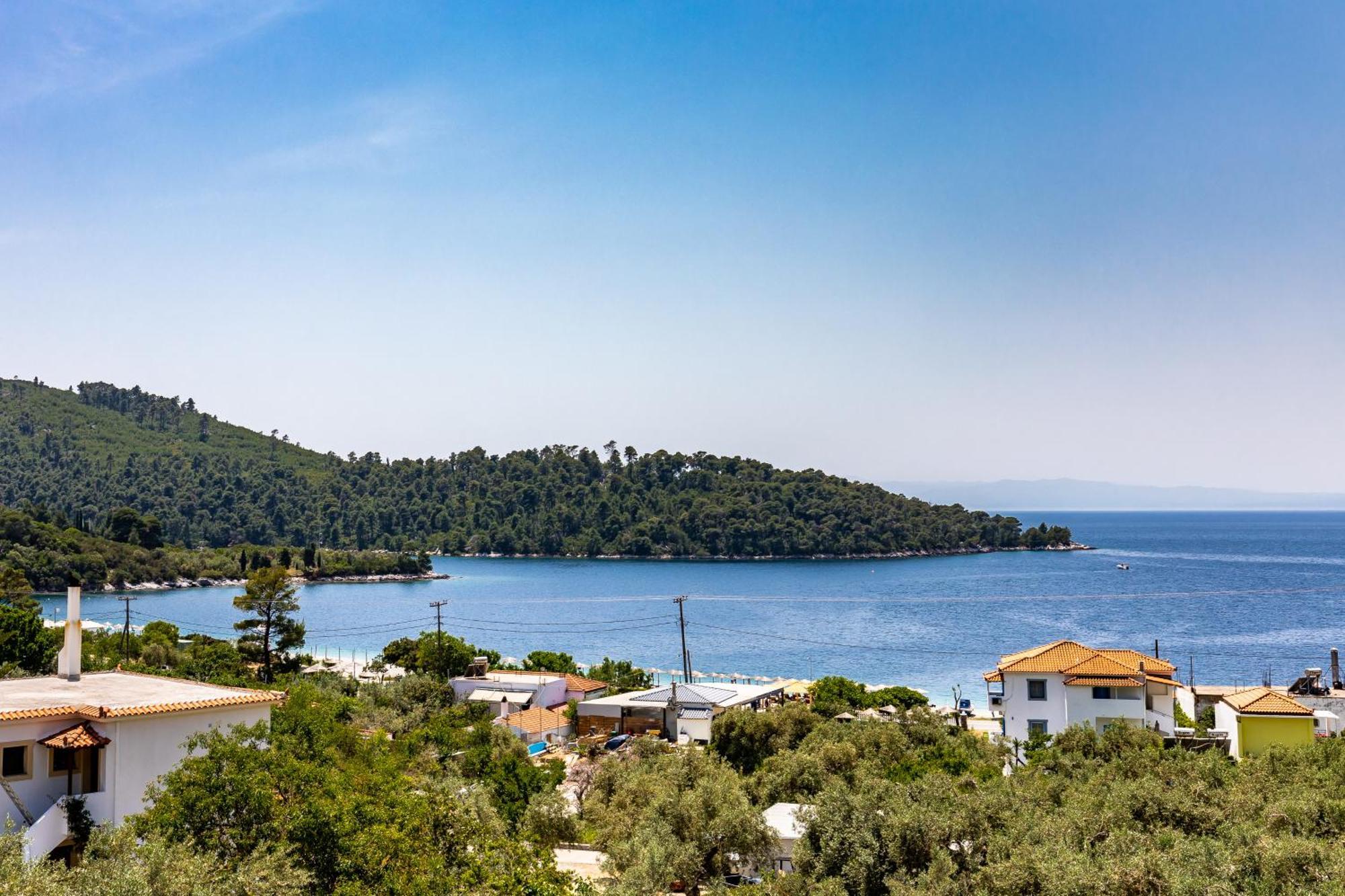 Panormos Beach Hotel Skopelos Rum bild