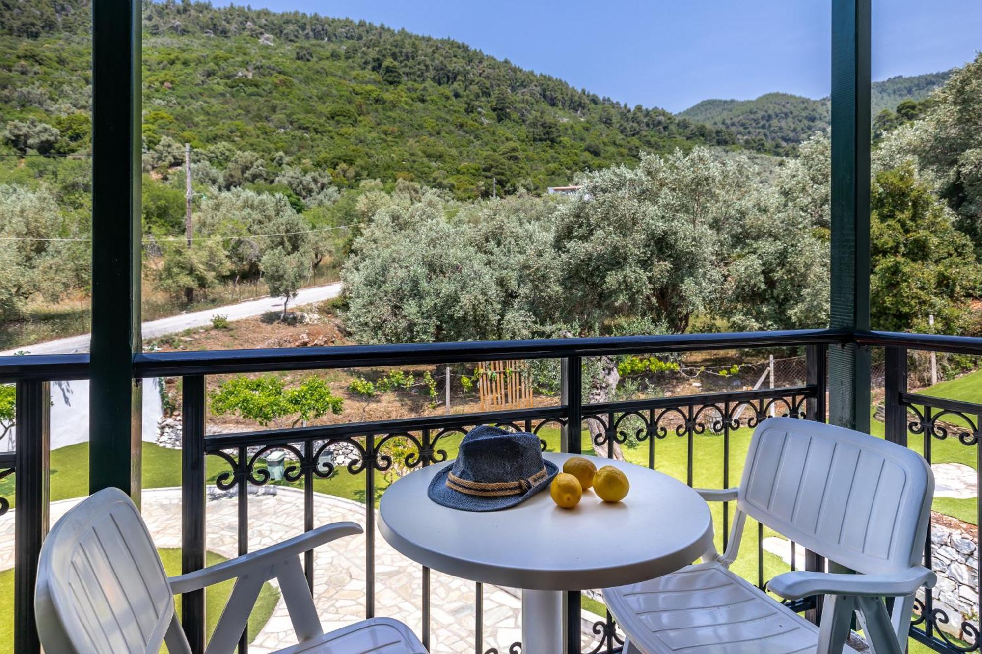 Panormos Beach Hotel Skopelos Rum bild